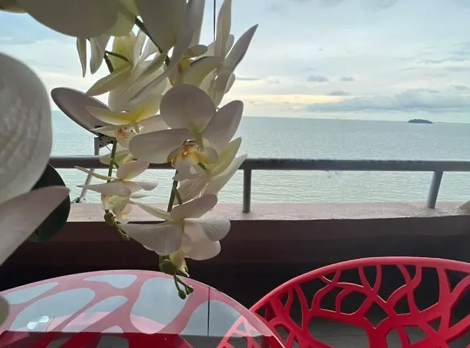 Pd Vip Seaview W Wifi N Smart Tv